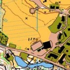 Orienteering