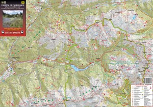 foresta-paneveggiobassa-risoluzione21